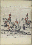 Königl[iche] Spanische Armee. Husaren Regiment Marie Louise. 1801