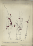 31-o Regimento di Linea ESTRAMADURA. [1806]