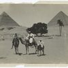 Bedouins à dos de chameau aux pyramides.
