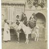 Femmes arabes sur baudets.