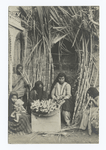 Women and children preparing sugar cane.