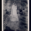 Bartolomeo Bosco