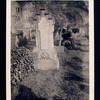 Bartolomeo Bosco