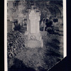 Bartolomeo Bosco