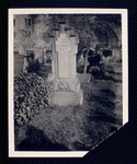 Bartolomeo Bosco