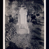 Bartolomeo Bosco