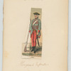 Hongaarsch Infanterie, 1756