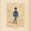 Stabsprofoss. 1866