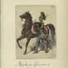 Gensdarmerie zu Pferde Officier. 1866