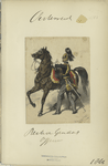 Gensdarmerie zu Pferde Officier. 1866