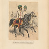 Feldmarschallieutenant und General-Major. 1866