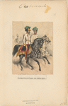 Feldmarschallieutenant und General-Major. 1866