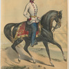 Dragoner, Oberlieutenant