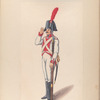 Musquetero del reg. Guadalaxara. 1807