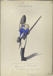 Regimento Hibernia, 8-e Brigada de Infanteria. 1807