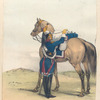 Caballeria de Linea. 1827
