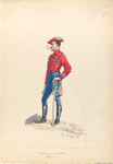 Husar