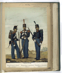 Uniforme de Gala: Regimientos de Linea (Cabo de fusileros), Regimiento de granaderos (Soldado), Batallones de Cazadores (Soldado). 1853