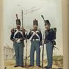 Uniforme de Gala: Regimiento de granaderos (Sargiento 1-o), Regimientos de Linea (Sargiento 1-o),  Batallones de Cazadores (Sargiento 1-o). 1853