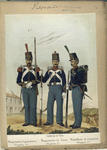 Uniforme de Gala: Regimiento de granaderos (Sargiento 1-o), Regimientos de Linea (Sargiento 1-o),  Batallones de Cazadores (Sargiento 1-o). 1853