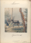Genie Tren [?]. 1862