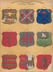 Armas de los Tergios Departmentales Llamados, Grandes Viejos, I. Africa, II. Principe, III. Corona, IV. Galicia V. Napoles, VI. Zaragoza, VII. Córdova VIII. Zamora IX. Soria