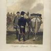 España, Königlich Spanische Cavallerie 1810
