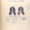 Regiment Gardes te Paard. 1753