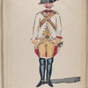 Cavalerie Regiment Birkenfeldt. 1753
