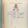 Cavalerie Regiment Hop. 1753