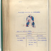 Infanterie Regiment Aylva. R. no. 1. 1753