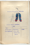 Infanterie Regiment Praetorius. R. no. 8.  1753