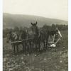 Plowing on the Old Farm.