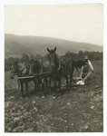 Plowing on the Old Farm.