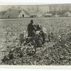 A Gang Plow with Tractor.