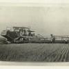 A Combination Header and Thresher.