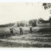 Mowing with Scythes.