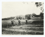 Mowing with Scythes.