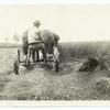 Mowing Machine in Timothy.
