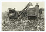 Husking Corn by Machinery.