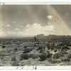 The Desert Awaiting Reclamation.