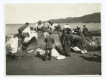 Indians cutting up a whale at Neah Bay, Washington.