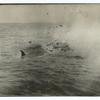 Bomb exploding in a whale.
