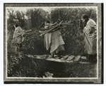 Cheyenne Women Returning to Camp with Firewood.