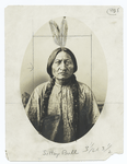 Sitting Bull, 1834? -1890.