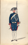 Zwitsersch Infanterie Regiment de Sturler Junior. R.Z. no. 2