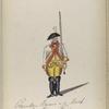 Cavalerie Regiment van de [...]. 1765