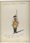 Cavalerie Regiment van de [...]. 1765