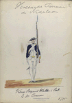  Regiment Wallen - 2, Bat. R.W. Cremer. 1775