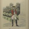 Officier der Garde du Corps des Statthalters Wilhelm's V. 1785